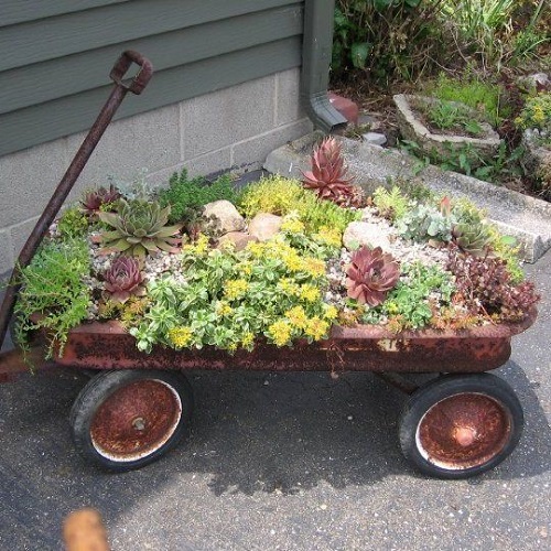 Succulent Arrangement in Garden Trolley 5