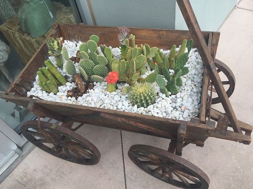 Succulent Arrangement in Garden Trolley  1
