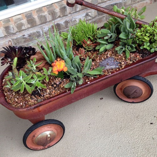Succulent Arrangement in Garden Trolley 2