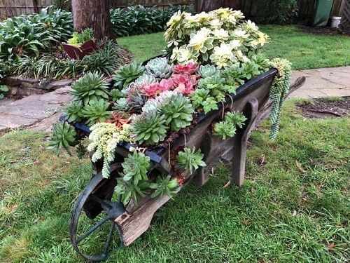 Succulent Arrangement in Garden Trolley 4