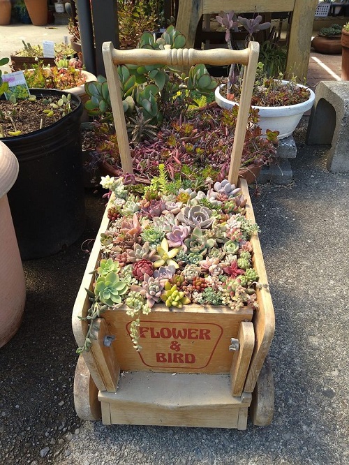 Succulent Arrangement in Garden Trolley 5
