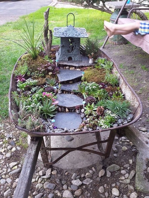 Best Succulent Arrangement in Garden Trolley  2