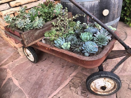 Best Succulent Arrangement in Garden Trolley  5