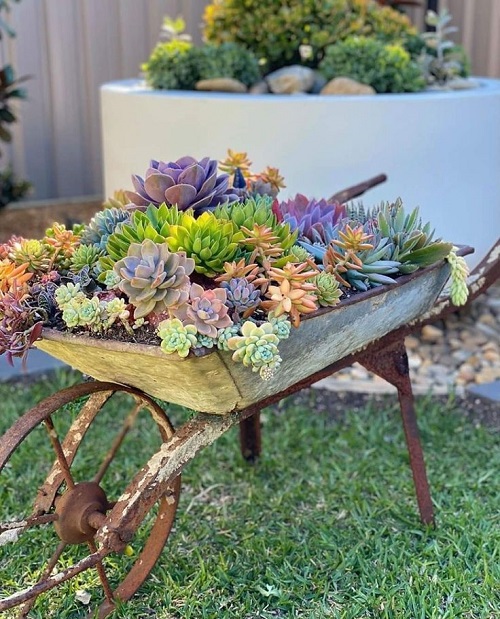 Succulent Arrangement in Garden Trolley3