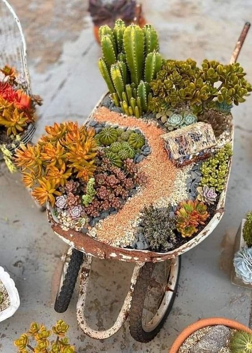 Succulent Arrangement in Garden Trolley 5