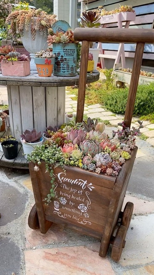 Succulent Arrangement in Garden Trolley 2