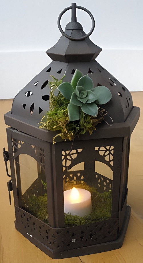 Succulent Arrangements in Lanterns 3