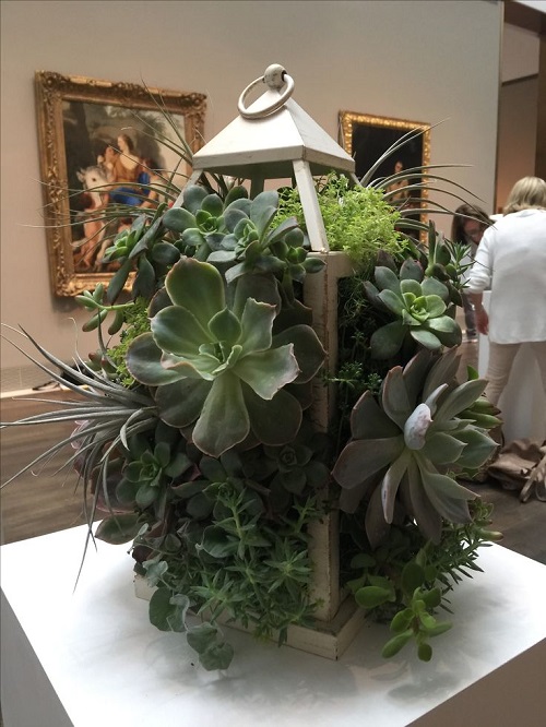 Top Succulent Arrangements in Lanterns 4