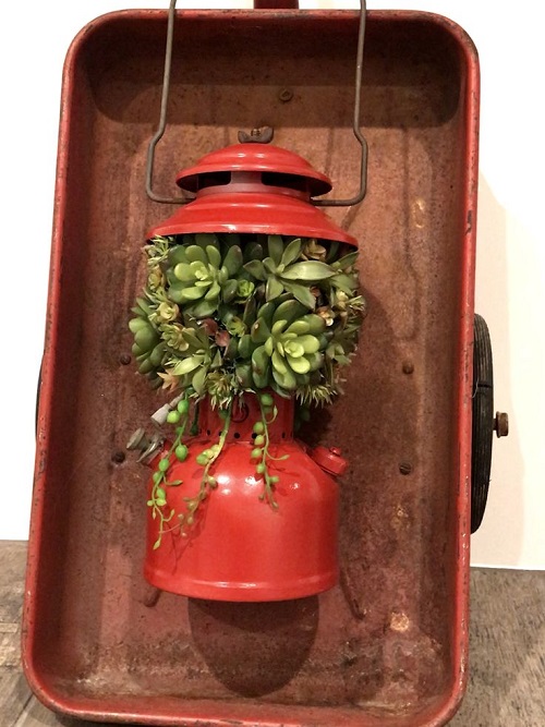 Top Succulent Arrangements in Lanterns 2