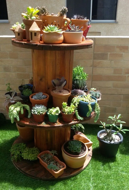 Style Succulents for Balcony Garden 10
