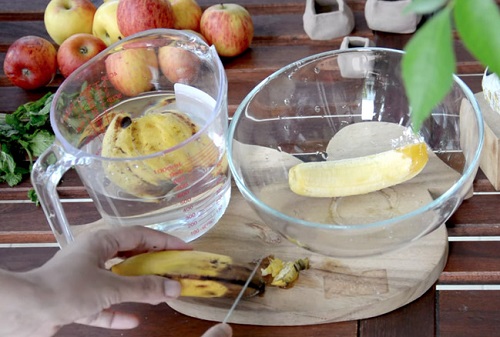 banana peels in cactus soil 6