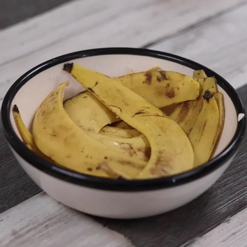 banana peels in cactus soil 2