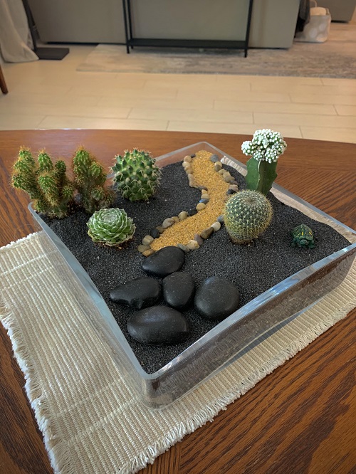  Stunning Mini Cactus Garden 2