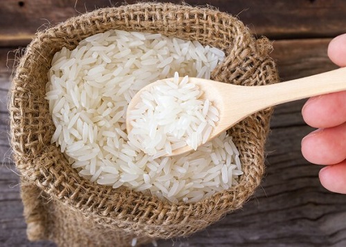 Rice in Succulent Pots 4