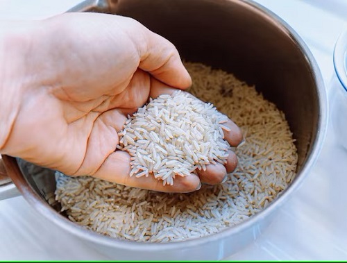 Rice in Succulent Pots 3