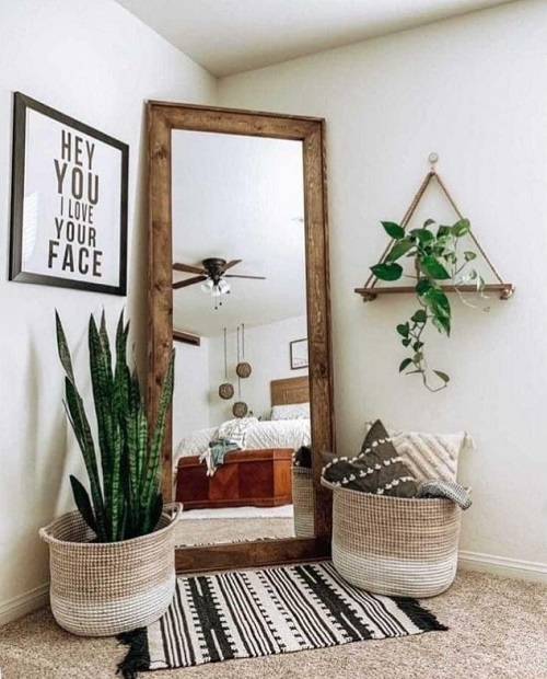 Snake Plants in Bedrooms 6