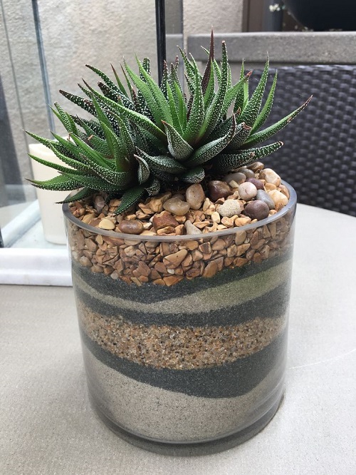 Succulent Arrangement in Jars 10