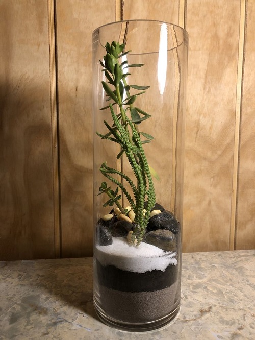 Succulent Arrangement in Jars 13