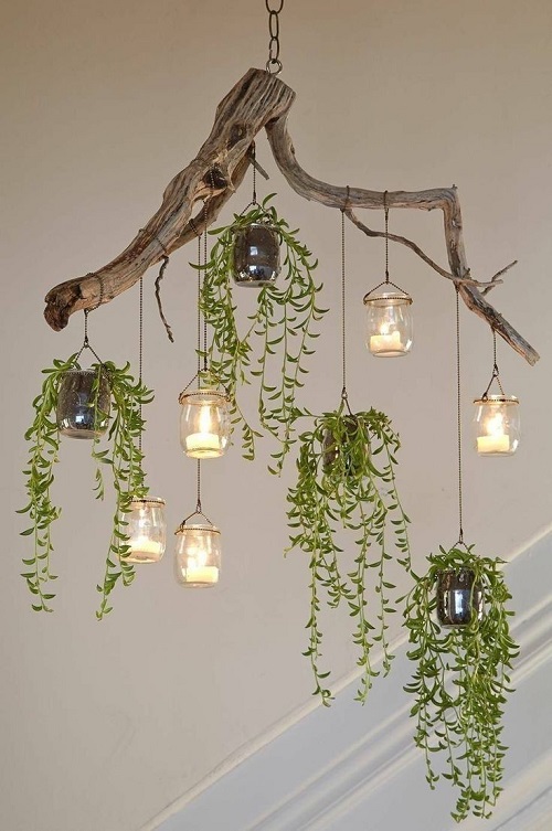 Succulent Arrangement in Jars 14