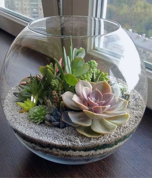 Succulent Arrangement in Jars 15