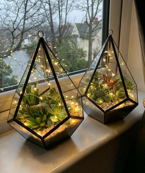 Succulent Arrangement in Jars 16