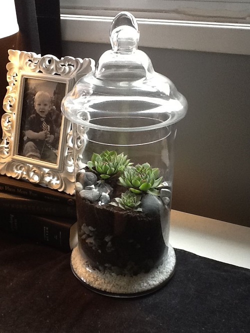 Succulent Arrangement in Jars 18