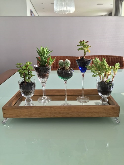 Succulent Arrangement in Jars 6