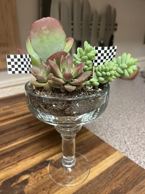 Succulent Arrangement in Jars 7