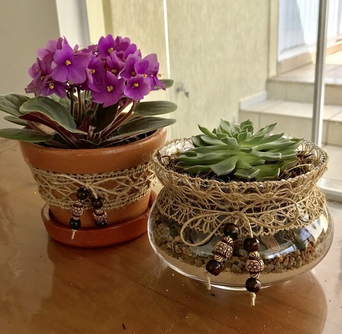 Succulent Arrangement in Jars 8