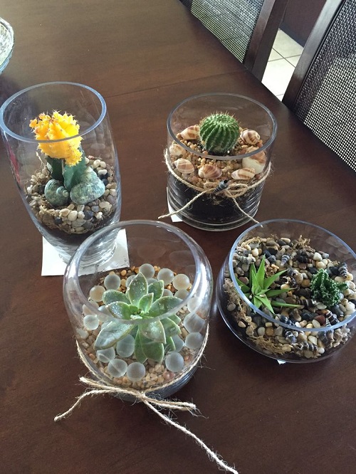 Succulent Arrangement in Jars 9