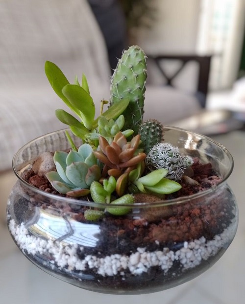 Beautiful Glass Bowl Succulent Arrangement 5