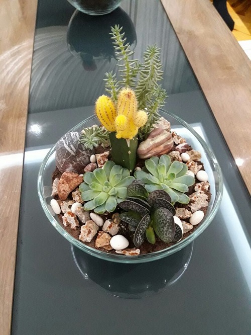Stunning Glass Bowl Succulent Arrangement 3