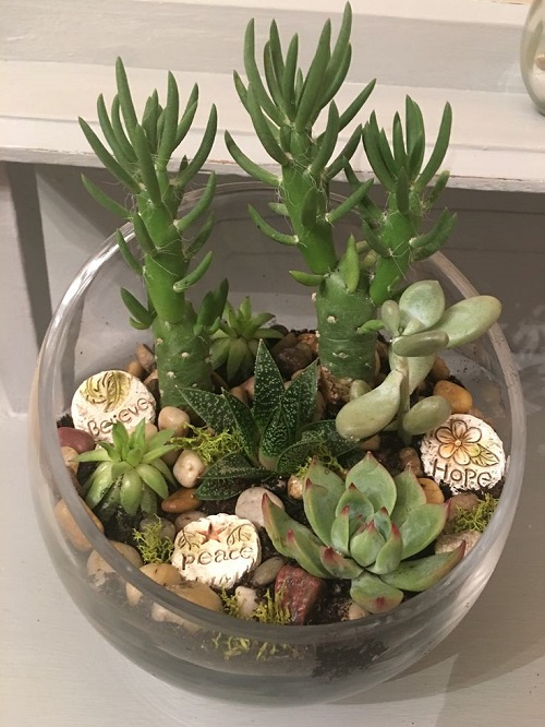 New Glass Bowl Succulent Arrangement 2
