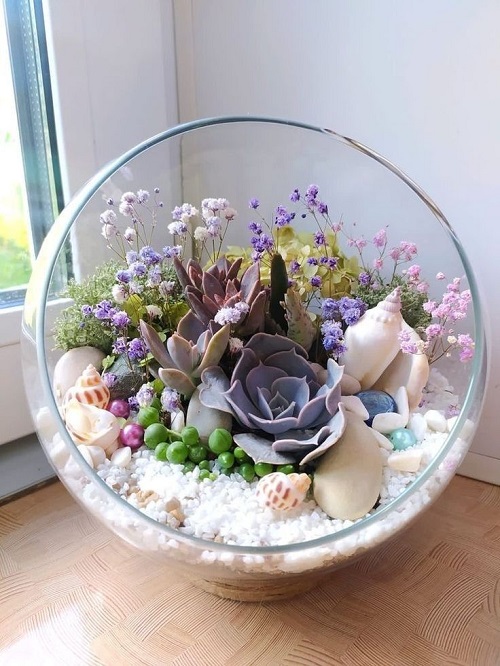 Glass Bowl Succulent 2