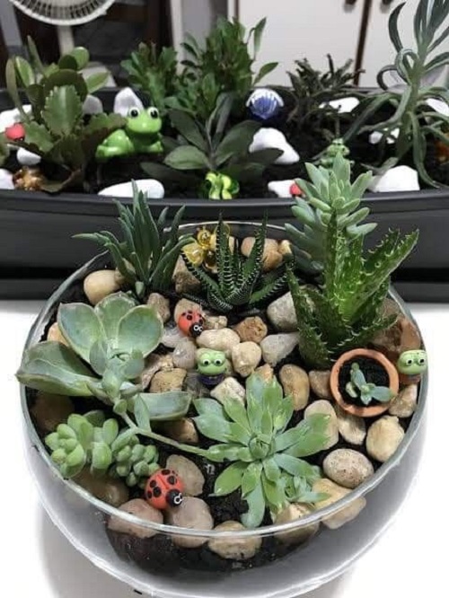 New Glass Bowl Succulent Arrangement 3
