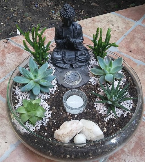 Glass Bowl Succulent 3