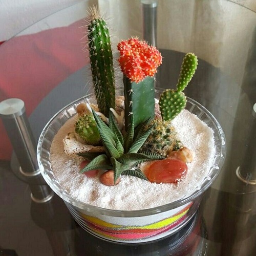 Beautiful Glass Bowl Succulent Arrangement 2