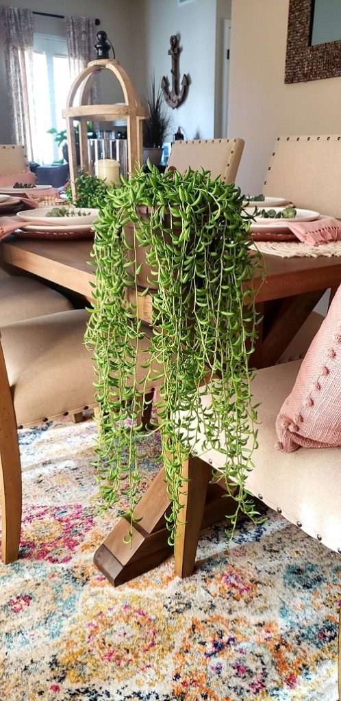 Beautiful Spilling Succulents 3