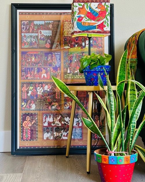 Stylish Snake Plant Display Ideas 3