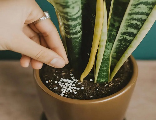 Steer Clear of Organic Fertilizers