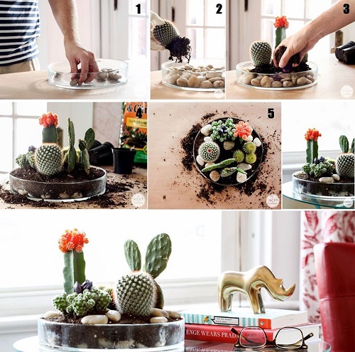 Easy Succulent Terrarium Tutorial for Beginners 4