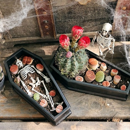 Halloween succulent Planters 1