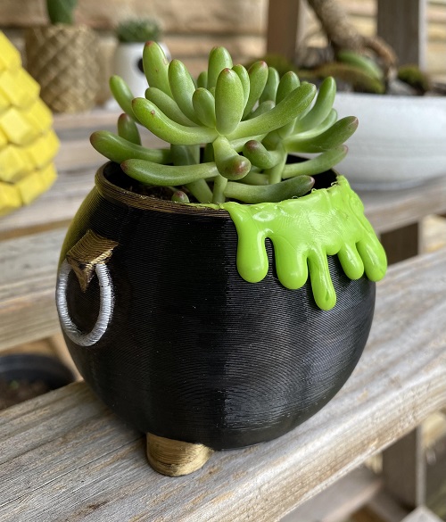 Spooky succulent Planters 5