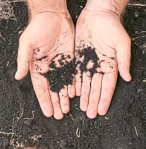 Burnt Soil
