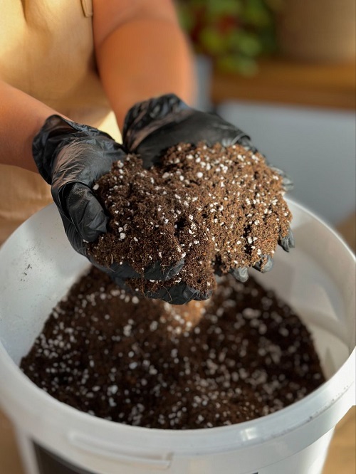 soil mix