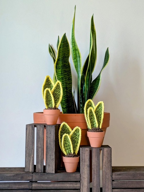  free Crochet Snake plant 4