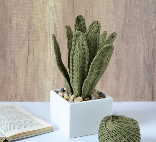 Snake plant crochet patterns 2