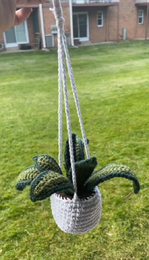 Snake plant crochet patterns 3