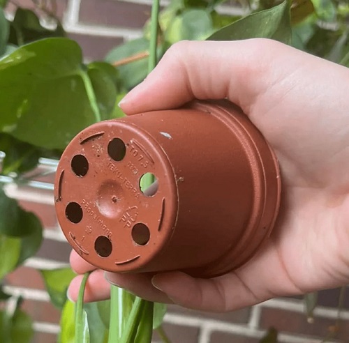 drainage hole pot