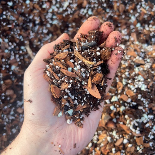 potting mix